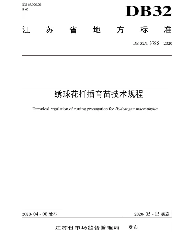 DB32T 3785-2020 绣球花扦插育苗技术规程