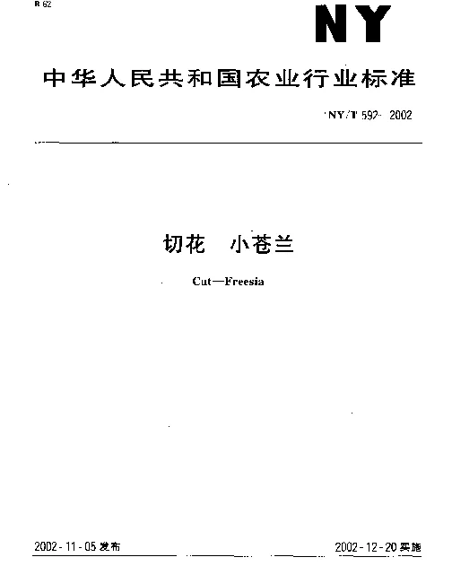 NYT 592-2002 切花 小苍兰