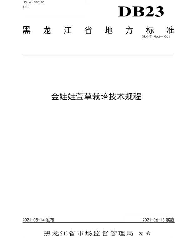 DB23T 2866—2021 金娃娃萱草栽培技术规程