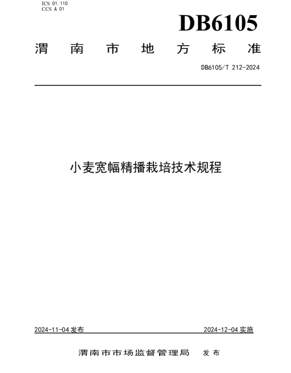 DB6105T 212-2024 小麦宽幅精播栽培技术规程
