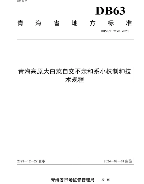 DB63T 2198-2023 青海高原大白菜自交不亲和系小株制种技术规程