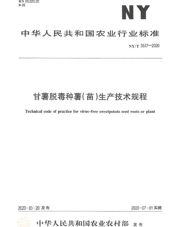 NYT 3537-2020 甘薯脱毒种薯（苗）生产技术规程