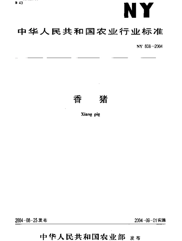 NY 808-2004 香猪