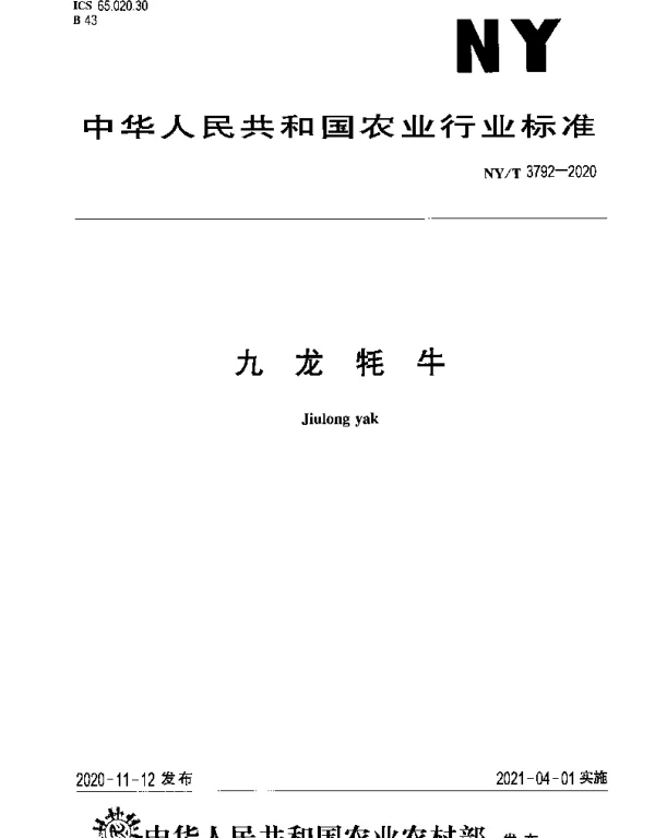 NYT 3792-2020 九龙牦牛