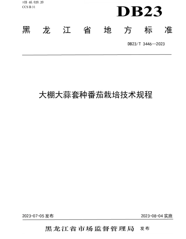 DB23T 3446—2023 大棚大蒜套种番茄栽培技术规程