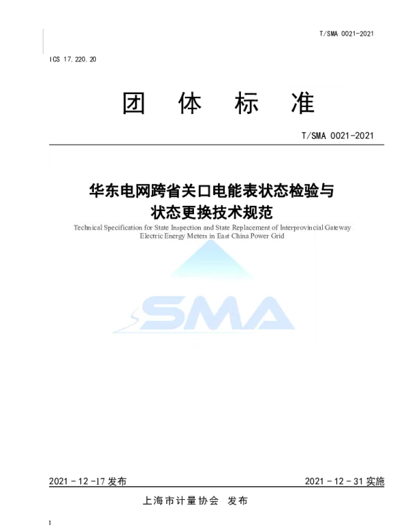 TSMA 0021-2021 华东电网跨省关口电能表状态检验与状态更换技术规范