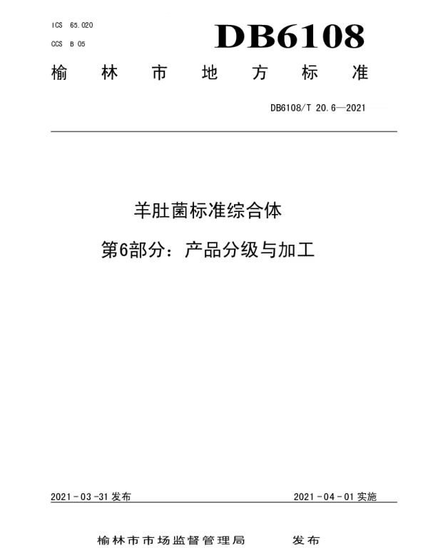 DB6108T 20.6—2021 羊肚菌标准综合体第6部分：产品分级与加工