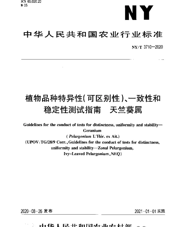 NYT 3710-2020 植物品种特异性（可区别性）、一致性和稳定性测试指南 天竺葵属
