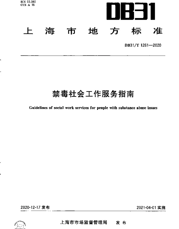 DB31T 1261-2020 禁毒社会工作服务指南