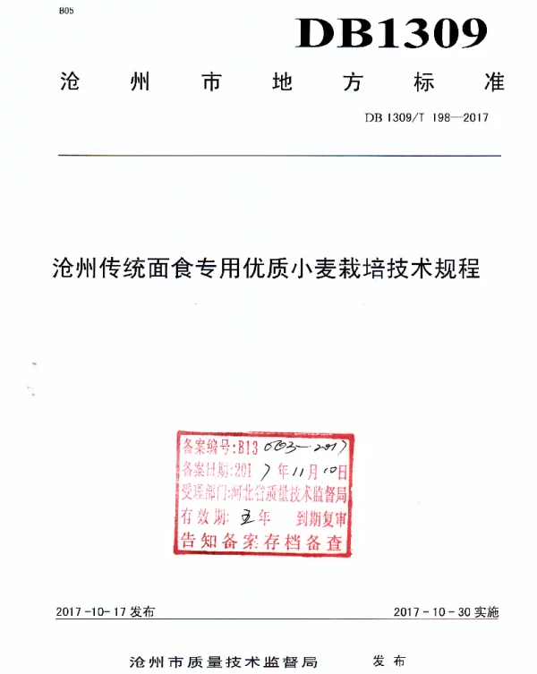 DB1309T 198-2017 沧州传统面食专用优质小麦栽培技术规程