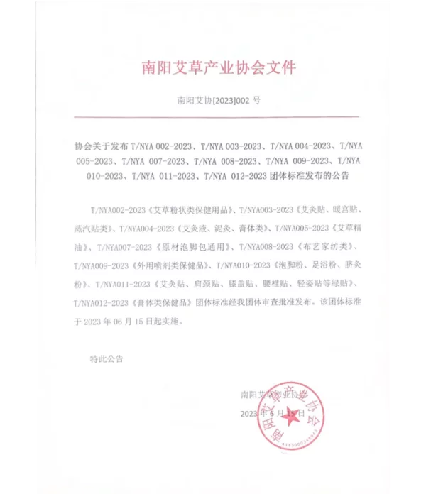 TNYA 011-2023 保健贴剂类技术规范