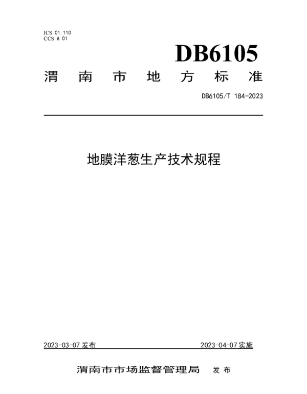DB6105T 184-2023 地膜洋葱生产技术规程