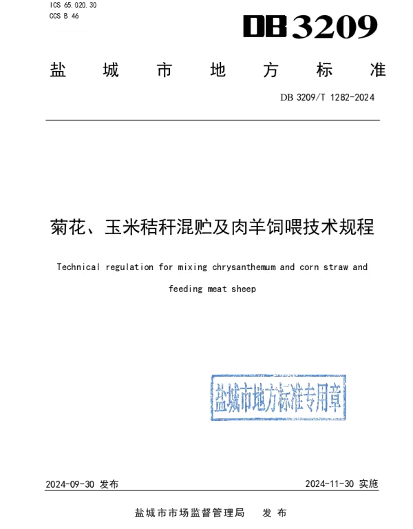 DB3209T 1282-2024 菊花、玉米秸秆混贮及肉羊饲喂技术规程