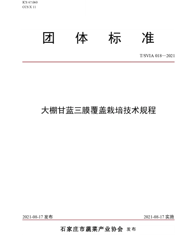 TSVIA 018-2021 大棚甘蓝三膜覆盖栽培技术规程