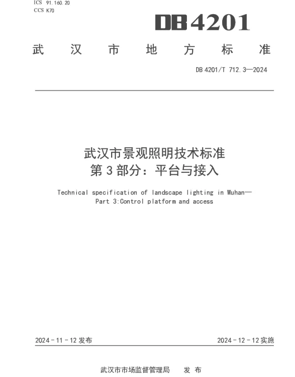 DB4201T 712.3-2024 景观照明技术标准 第3部分平台与接入