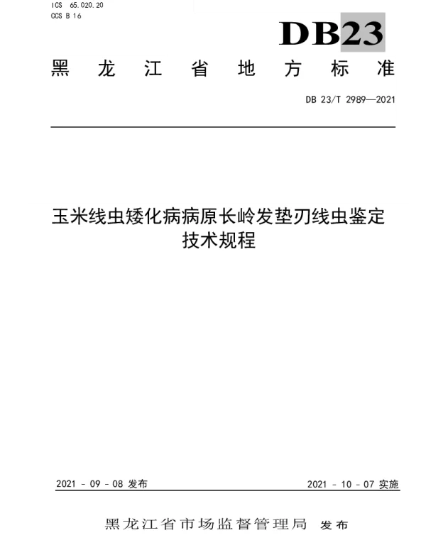 DB23T 2989—2021 玉米线虫矮化病病原长岭发垫刃线虫鉴定技术规程