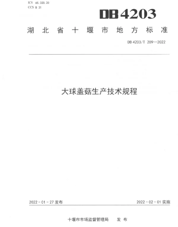 DB4203T 209-2022 大球盖菇生产技术规程