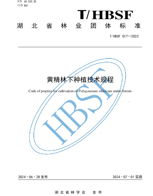 THBSF 017-2023 黄精林下种植技术规程