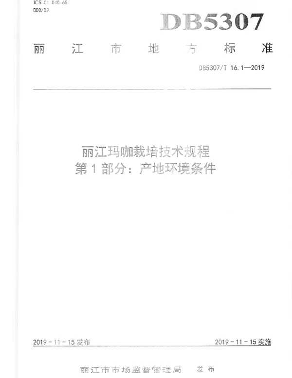 DB 5307T 16-2019 丽江玛咖栽培技术规程