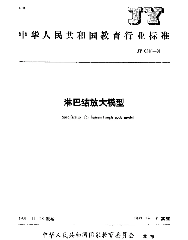 JY 0316-1991 淋巴结放大模型