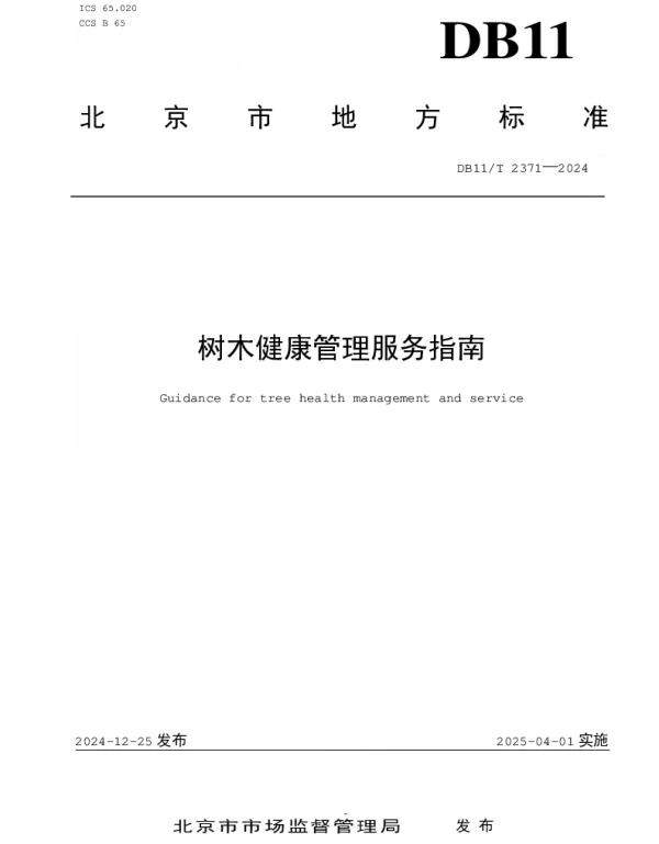DB11T 2371-2024 树木健康管理服务指南