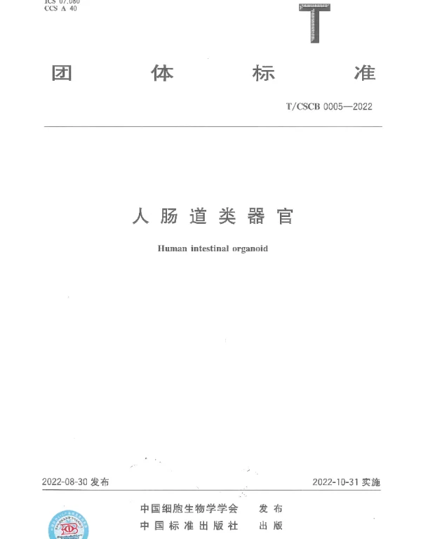 TCSCB 0005-2022 人肠道类器官