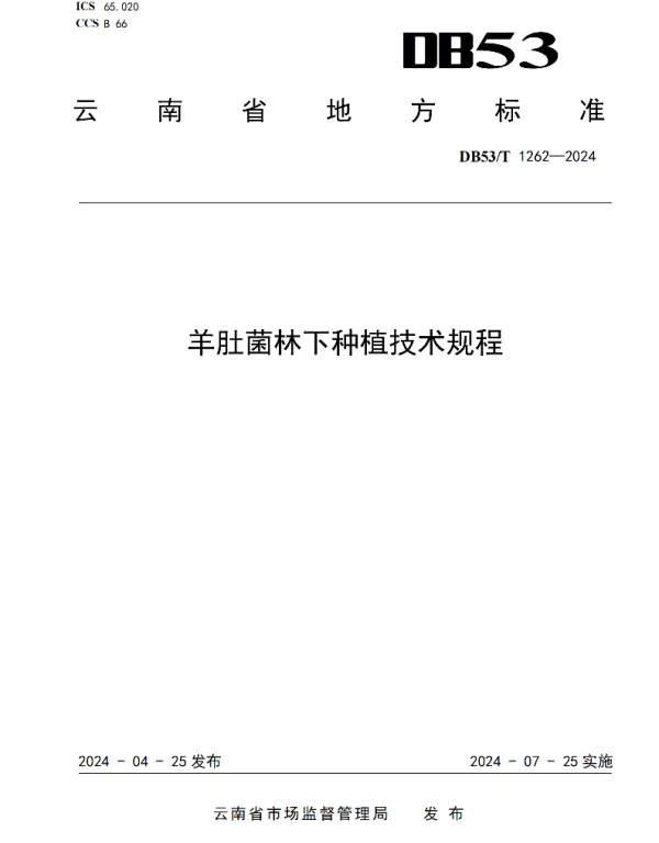 DB53T 1262-2024 羊肚菌林下种植技术规程