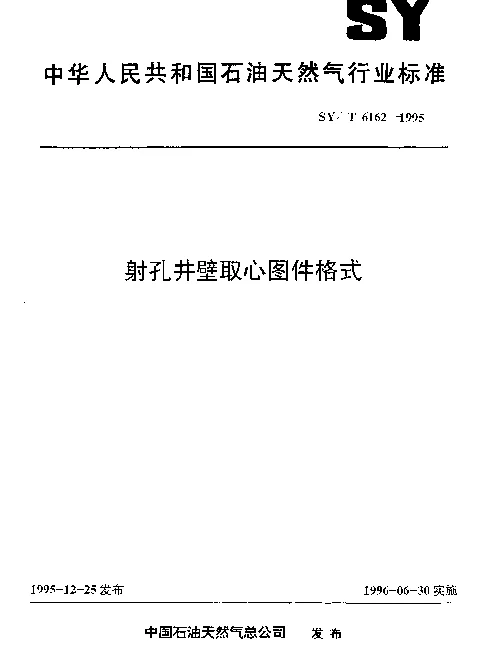 SYT 6162-1995 射孔井壁取心图件格式