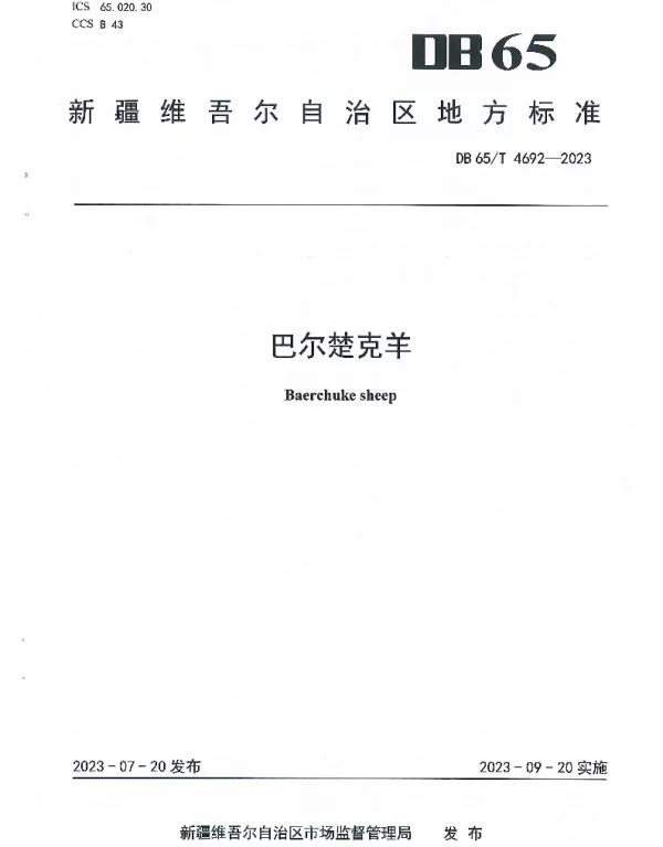 DB65T 4692-2023 巴尔楚克羊