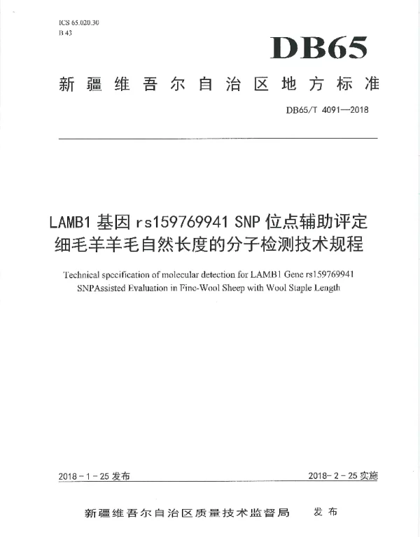 DB65T 4091-2018 LAMB1基因rs159769941 SNP位点辅助评定细毛羊羊毛自然长度的分子检测