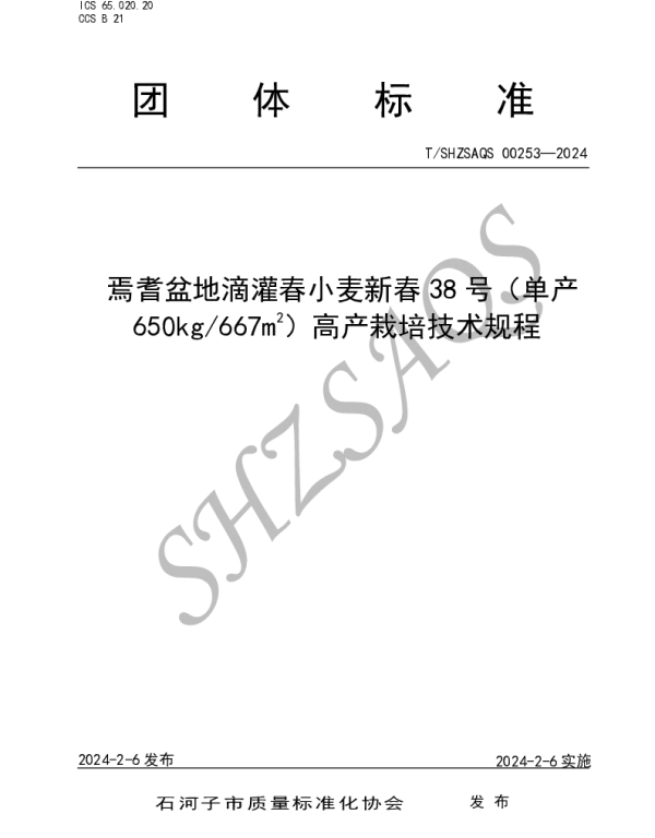 TSHZSAQS 00253-2024 焉耆盆地滴灌春小麦新春38号（单产650kg667㎡） 高产栽培技术规程