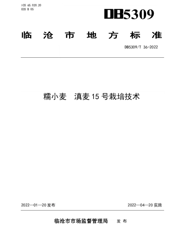 DB5309T 36-2022 糯小麦 滇麦15号栽培技术