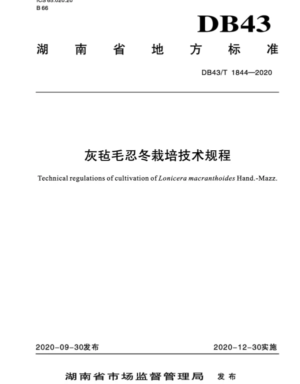DB43T 1844-2020 灰毡毛忍冬栽培技术规程