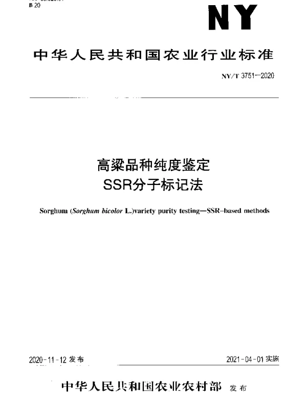 NYT 3751-2020 高粱品种纯度鉴定SSR分子标记法