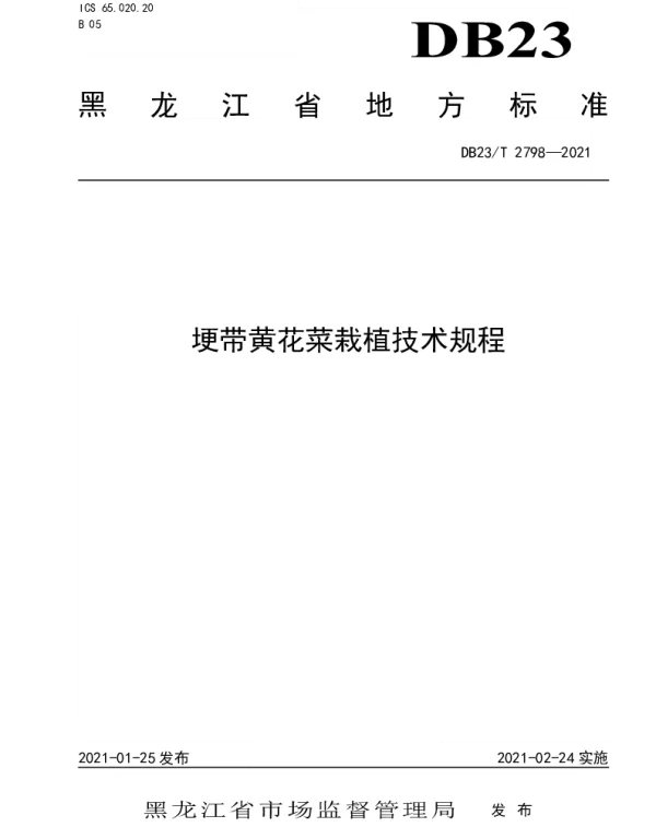 DB23T 2798—2021 埂带黄花菜栽植技术规程