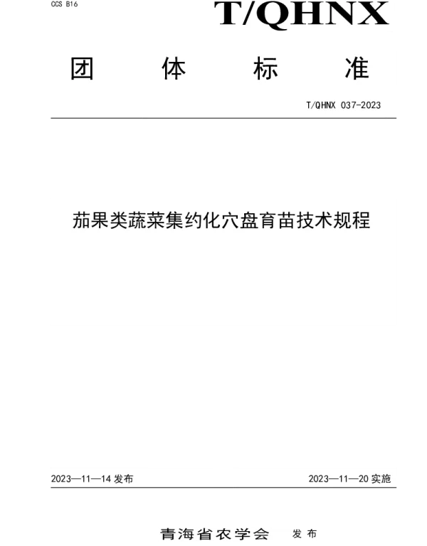 TQHNX 037-2023 茄果类蔬菜集约化穴盘育苗技术规程