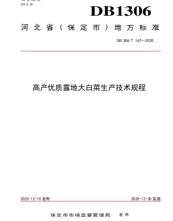 DB1306T 167-2020 高产优质露地大白菜生产技术规程