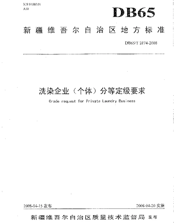 DB65T 2874-2008 洗染企业（个体）分等定级要求