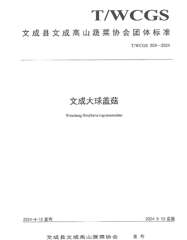 TWCGS 003-2024 文成大球盖菇