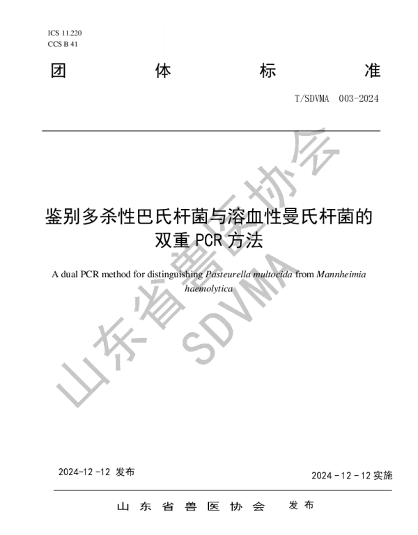 TSDVMA 003-2024 鉴别多杀性巴氏杆菌与溶血性曼氏杆菌的双重PCR方法