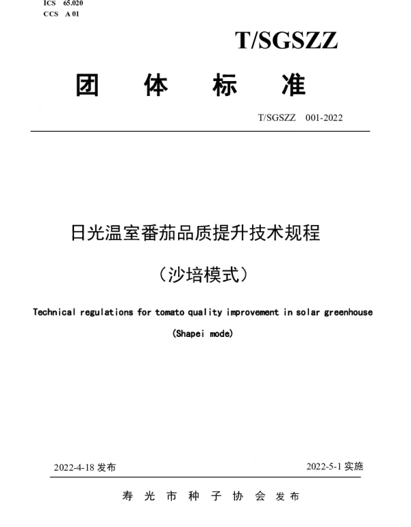 TSGSZZ 001-2022 日光温室番茄品质提升技术规程（沙培模式）