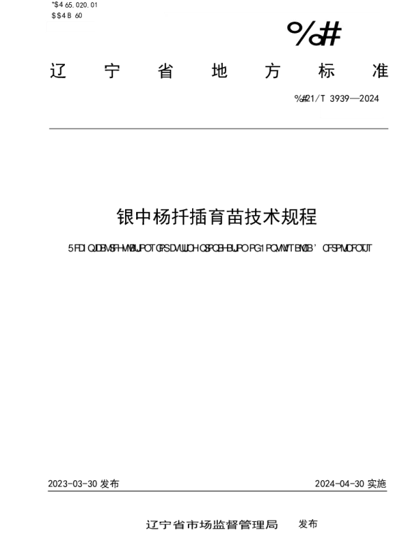 DB21T 3939-2024 银中杨扦插育苗技术规程