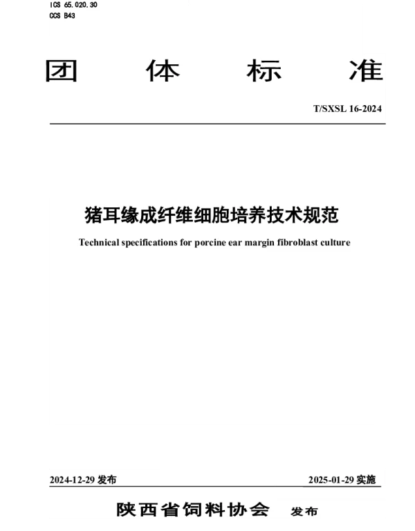 TSXSL 16-2024 猪耳缘成纤维细胞培养技术规范
