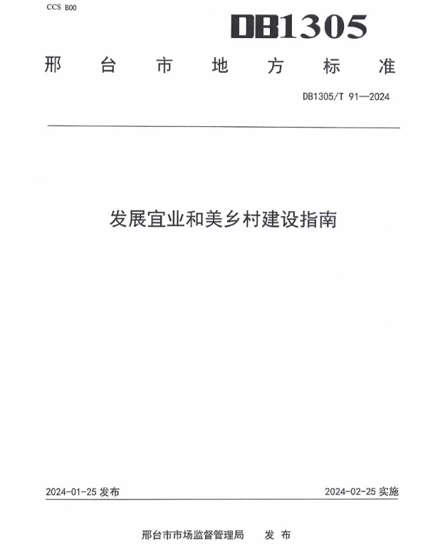 DB1305T 91-2024 发展宜业和美乡村建设指南