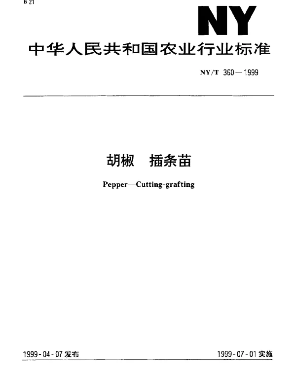 NYT 360-1999 胡椒.插条苗