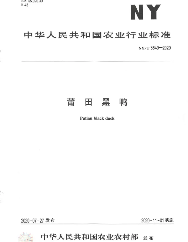 NYT 3649-2020 莆田黑鸭