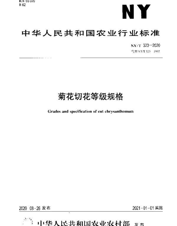 NYT 323-2020 菊花切花等级规格