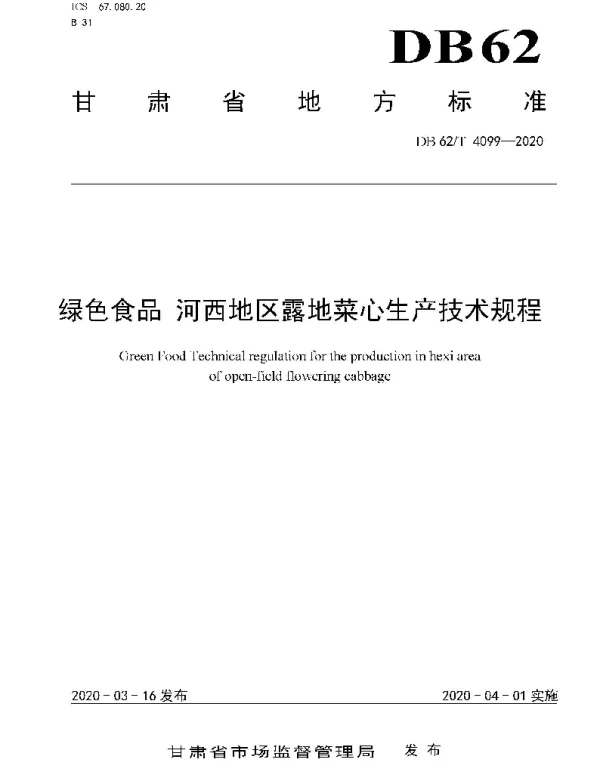 DB62T 4099-2020 绿色食品 河西地区露地菜心生产技术规程
