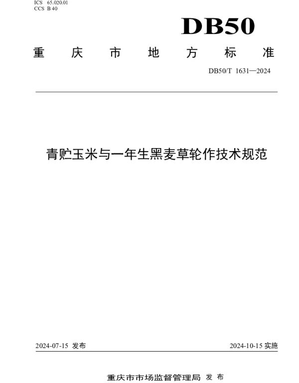 DB50T 1631-2024 青贮玉米与一年生黑麦草轮作技术规范