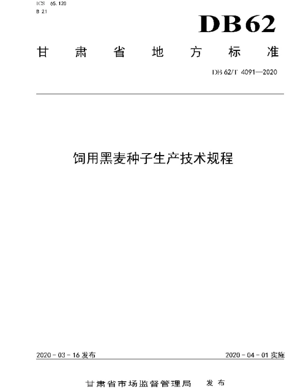 DB62T 4091-2020 饲用黑麦种子生产技术规程